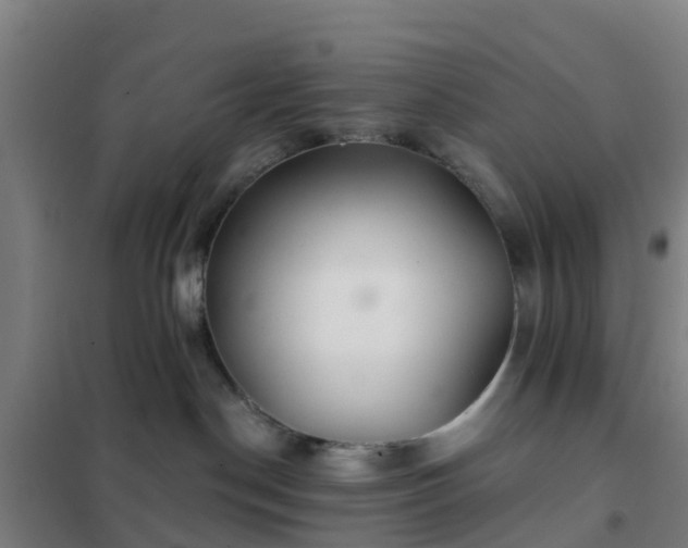 X0000102020190200807251340