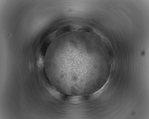 X0000102020191200807251340
