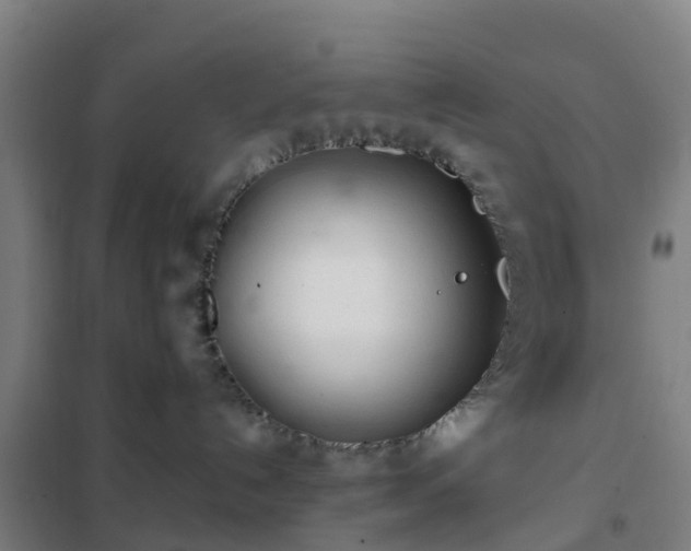 X0000102020192200807251340