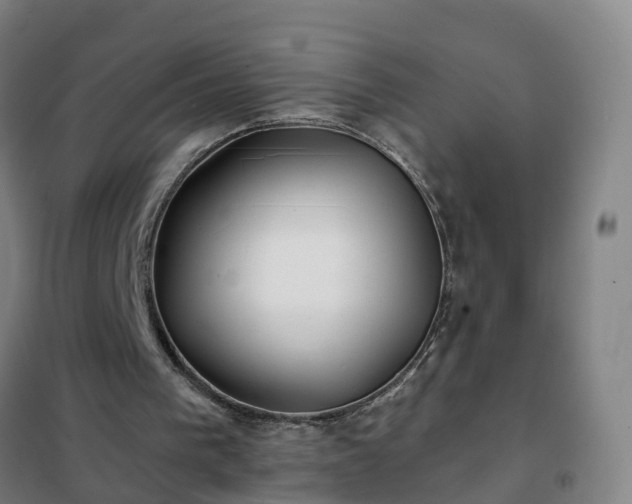 X0000102020193200807251339