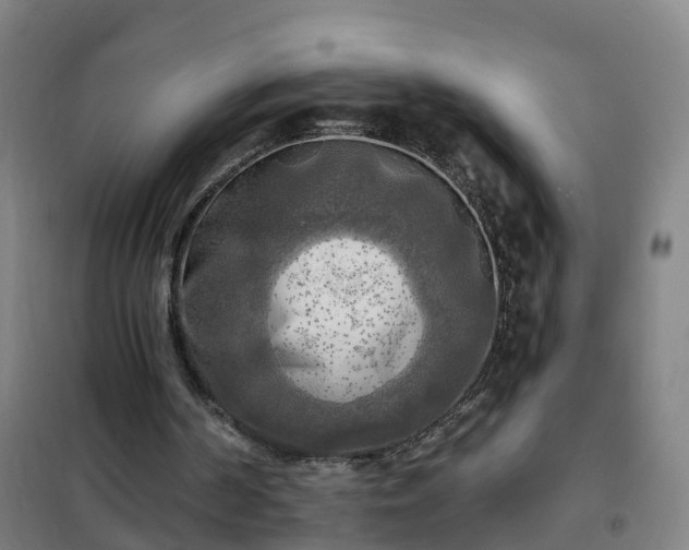 X0000102020194200807251339