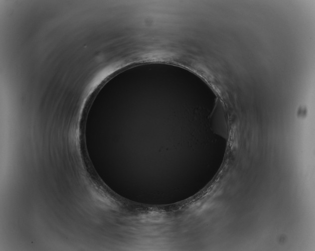 X0000102020196200807251339