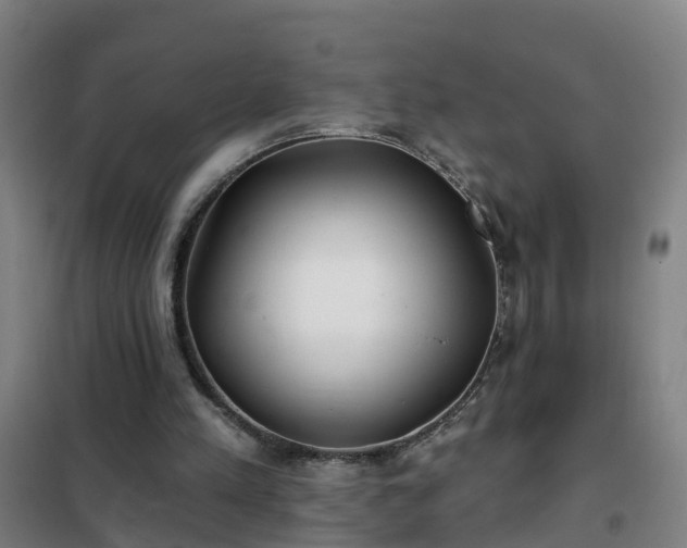 X0000102020197200807251339
