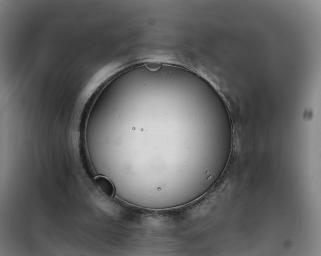 X0000102020199200807251339