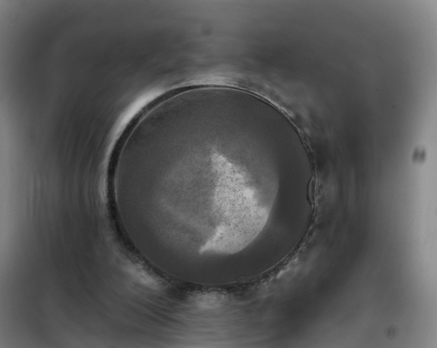 X0000102020200200807251339