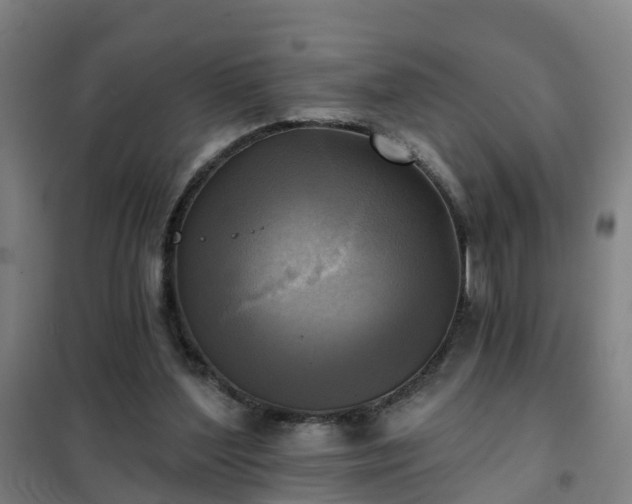 X0000102020204200807251339