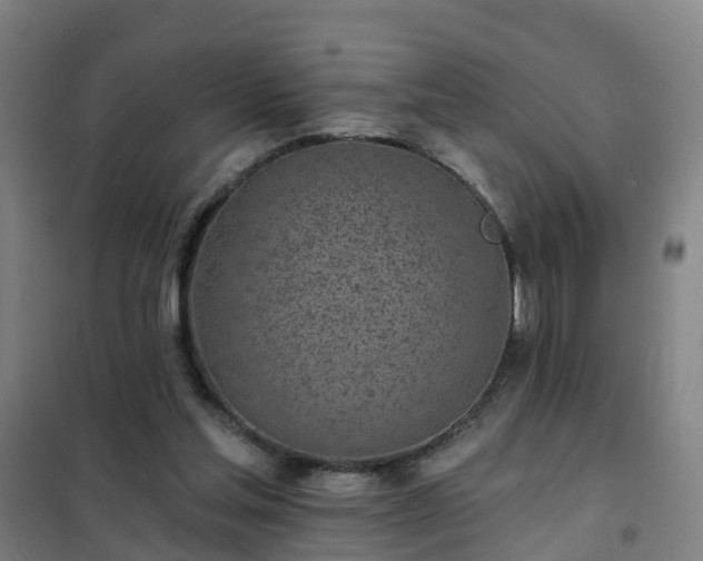 X0000102020205200807251339