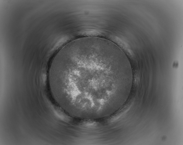 X0000102020206200807251339
