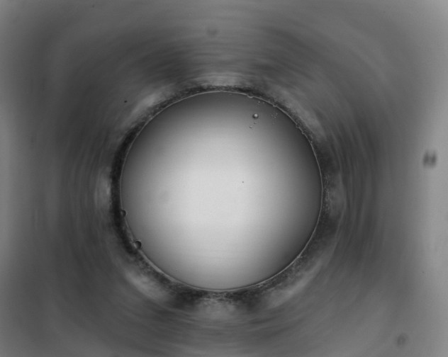X0000102020207200807251339