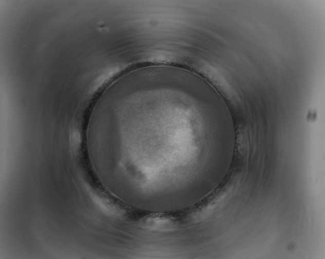 X0000102020208200807251339