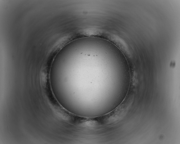 X0000102020210200807251339