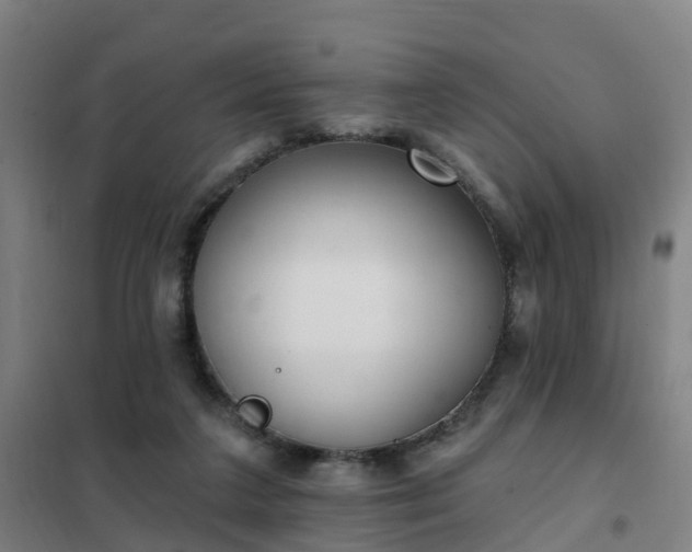 X0000102020211200807251339