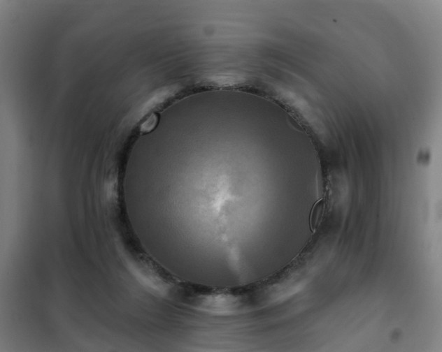 X0000102020212200807251339