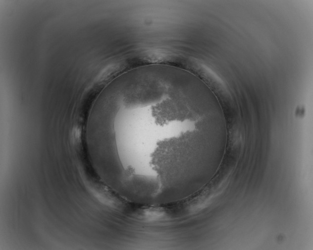 X0000102020214200807251339