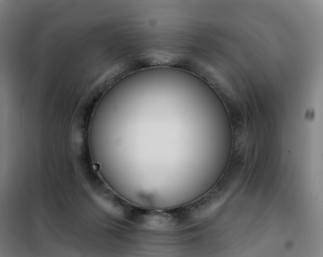 X0000102020215200807251339