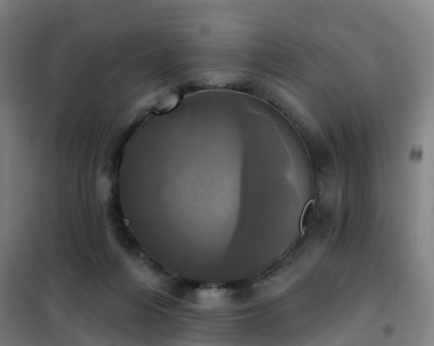 X0000102020216200807251339