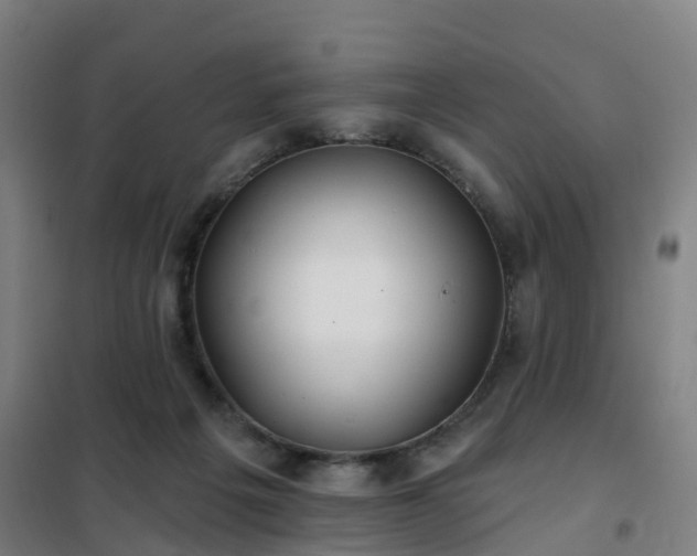 X0000102020217200807251339