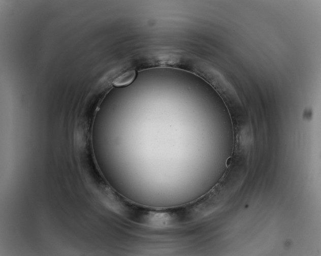 X0000102020218200807251339