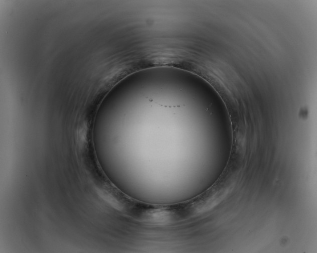 X0000102020219200807251339