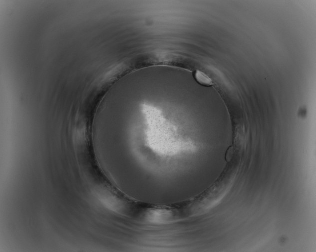 X0000102020220200807251339