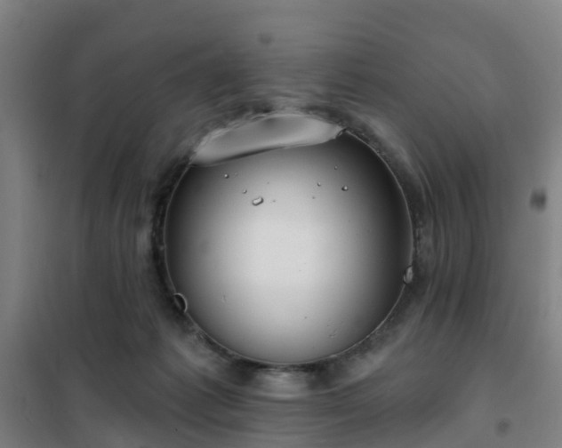 X0000102020221200807251339