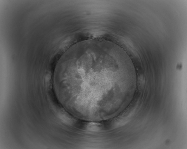X0000102020222200807251339