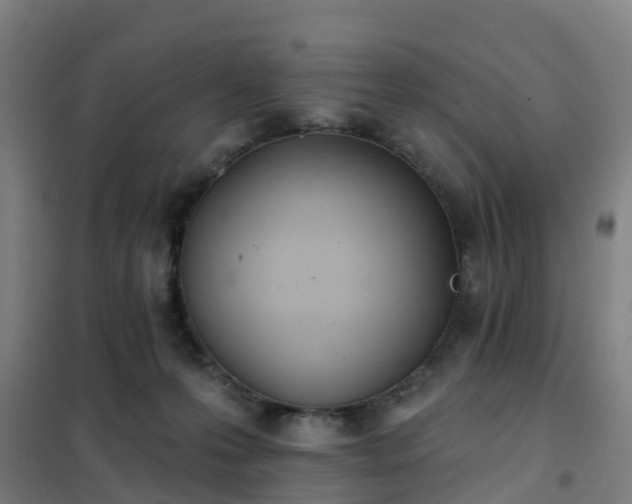 X0000102020223200807251339