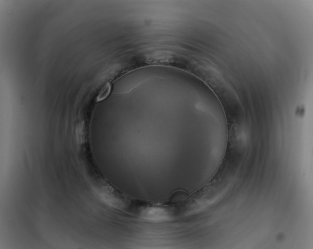 X0000102020224200807251339