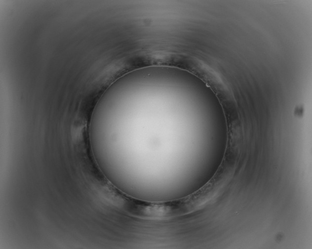 X0000102020225200807251339