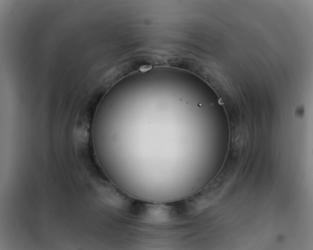 X0000102020226200807251339