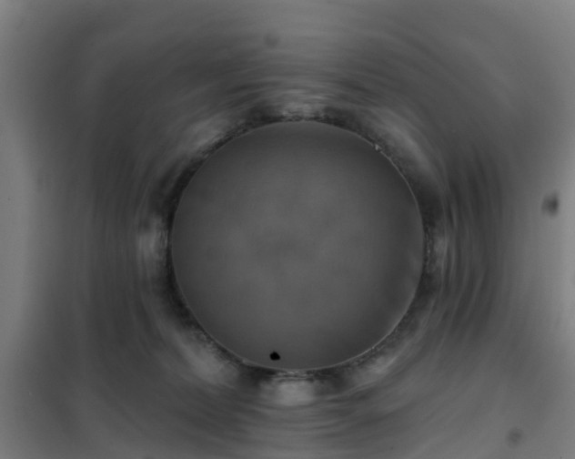 X0000102020228200807251339