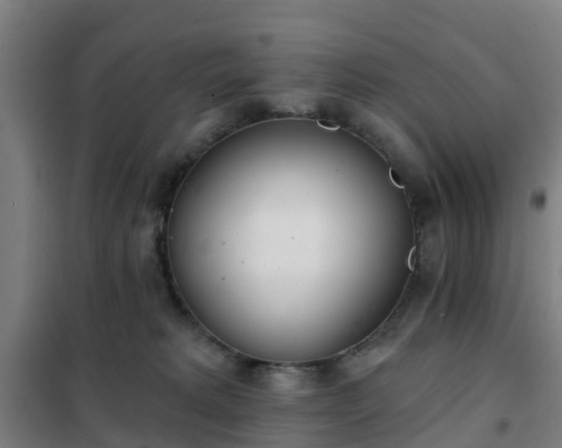 X0000102020229200807251339