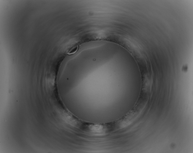 X0000102020230200807251339