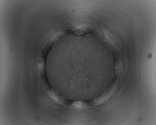 X0000102020231200807251339