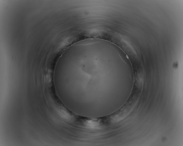 X0000102020232200807251339