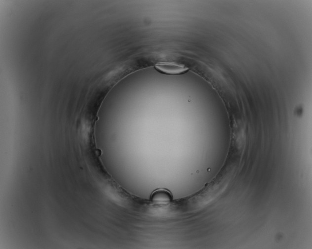 X0000102020235200807251339