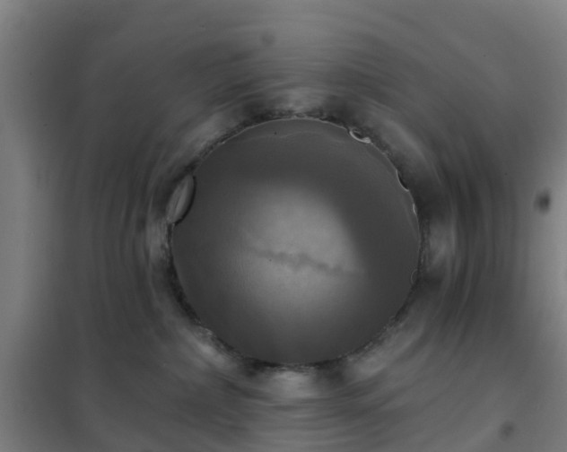 X0000102020236200807251339