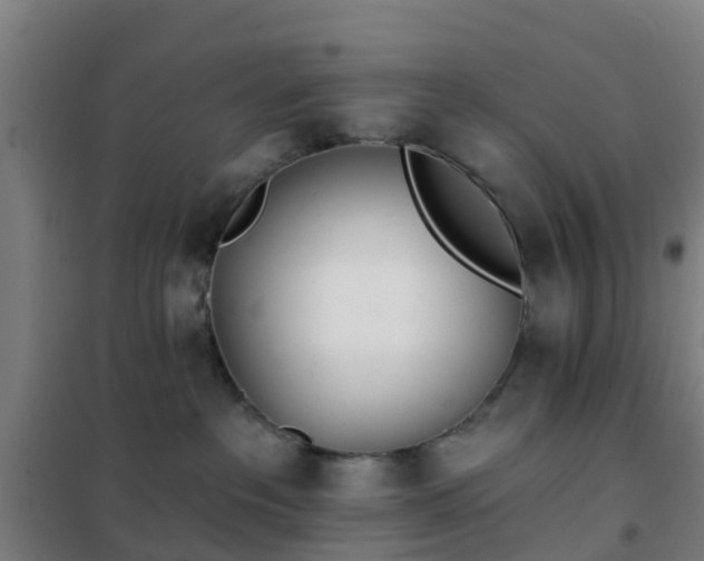 X0000102020237200807251339