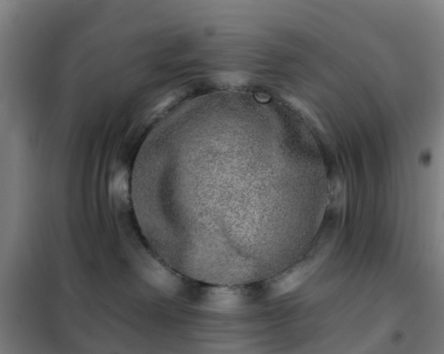 X0000102020238200807251339