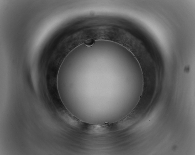 X0000102020239200807251339