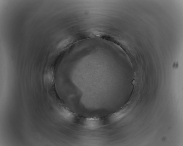X0000102020240200807251339