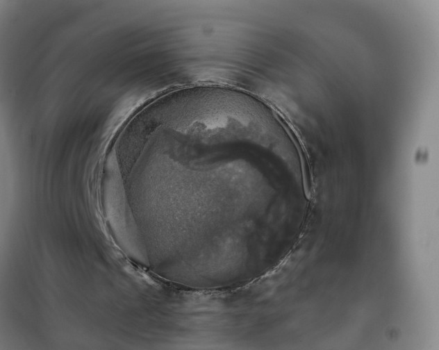 X0000102020241200807251338