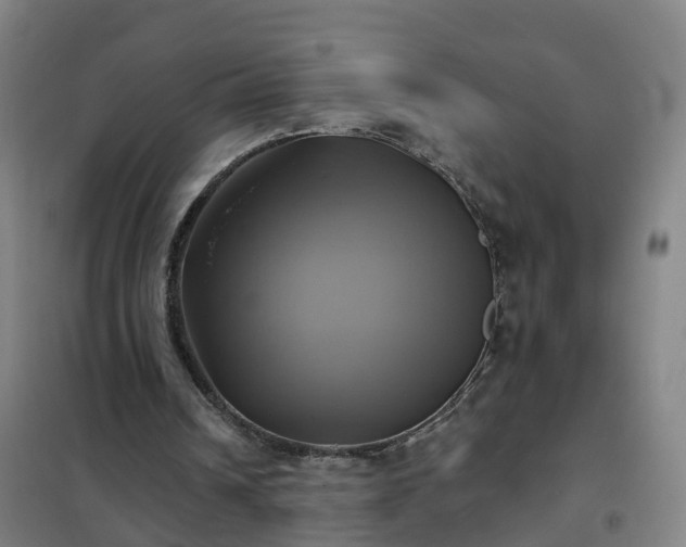 X0000102020242200807251338