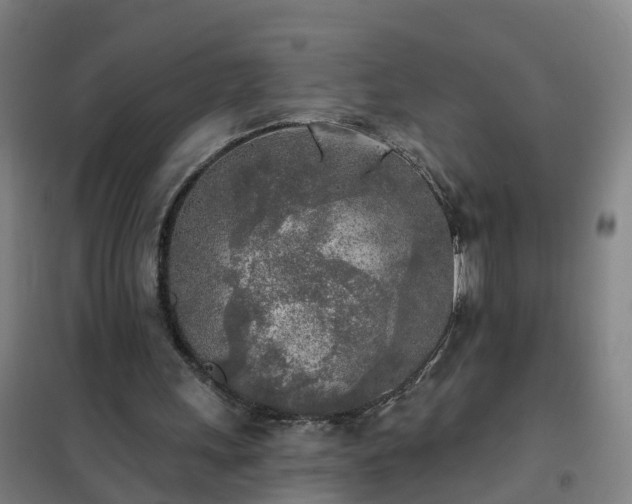 X0000102020243200807251338