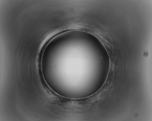 X0000102020244200807251338