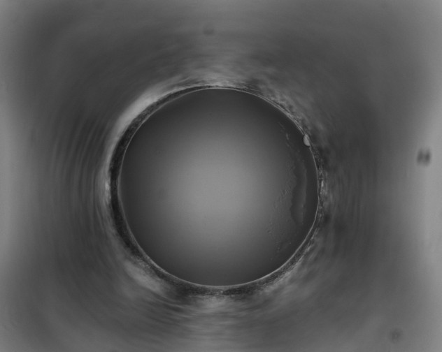 X0000102020246200807251338