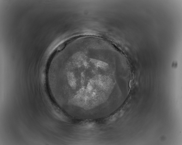 X0000102020247200807251338
