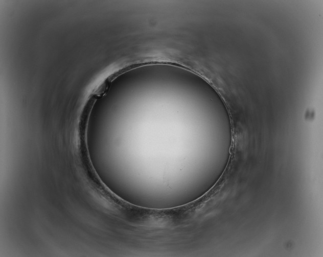 X0000102020248200807251338