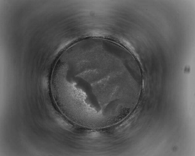 X0000102020249200807251338