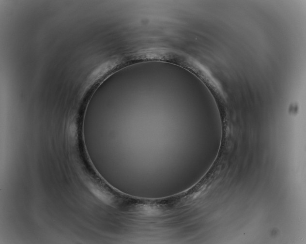 X0000102020250200807251338